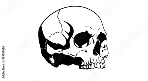 Cracked human skull in black and white