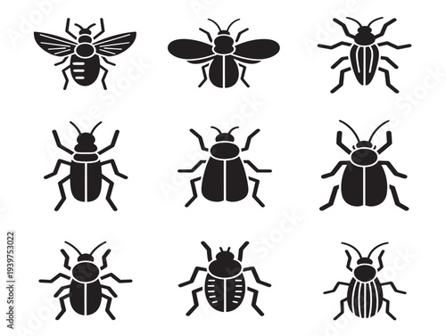 Black and white vector illustration of various insects