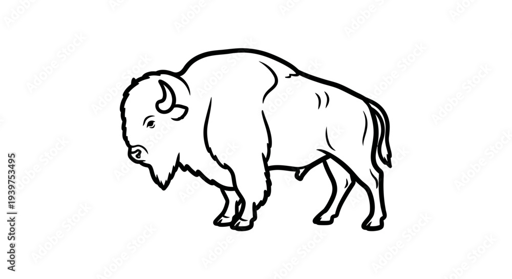 Obraz premium Bison standing in profile view.