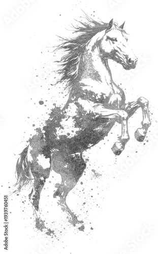 A black horse vector illustration featuring a wild mustang stallion silhouette running in a gallop, showcasing an equestrian equine design sketch of a powerful mammal mane isolated on white