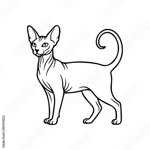 Elegant Sphynx Cat Standing – Rare Hairless Feline Breed and Exotic Pedigree Pet Minimalist Line Art Illustration