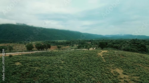 Cinematic drone aerial view of a winding road through lush tea gardens and forest hills in Jaflong, Sylhet, Bangladesh. Peaceful countryside landscape with clouds gathering