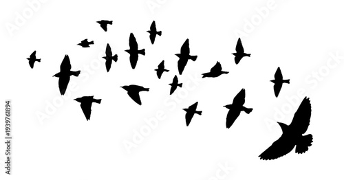 Flying birds silhouette flock. hand drawing. Not AI. Vector illustration