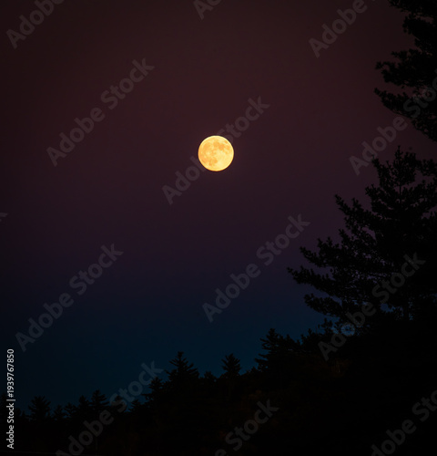Full Moon