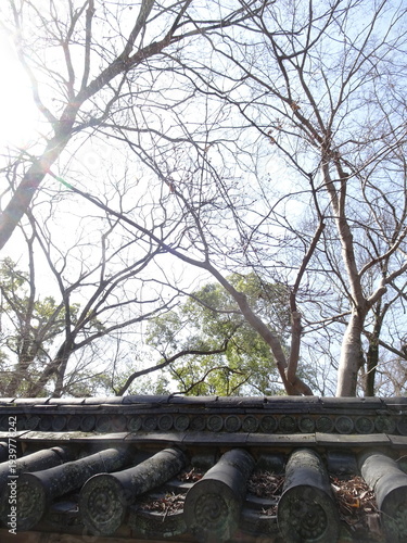 瓦屋根と枝と空,