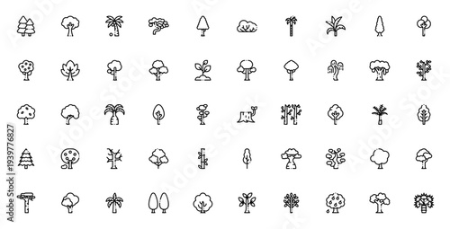 Trees icon set. Vector tree collection featuring pine, coconut, palm, oak, birch, spruce, bamboo, baobab and more. Minimal line icons.