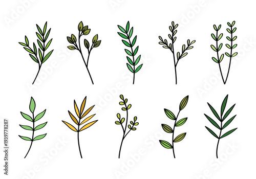 Hand drawn branches and leaves of bushes and trees in cartoon minimalist style. Collection of plant icons. Ideal for decorating, greeting cards, stickers, posters, invitations, social media, packaging