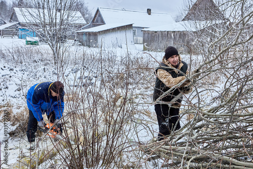 After cutting down aspen for firewood farmers trim branches with chainsaw and pile them up.