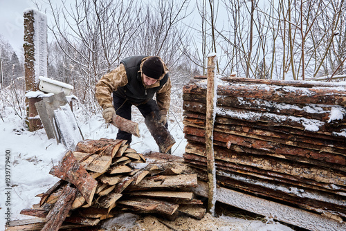 Farmer gathers cut waste slabs to carry to firewood barn and use during winter period for heating wood stove.