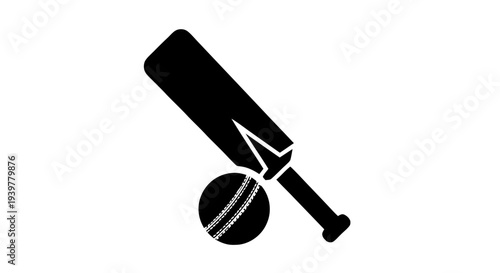 Vector illustration of cricket bat and ball icon on a transparent background