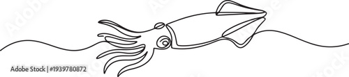 Squid sea animal outline drawing illustration. one continuous line drawing of squid in the sea. one line Icon drawing
