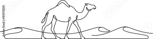 Camels one line drawing illustration. Camel walking in the desert monoline design. one line Icon drawing
