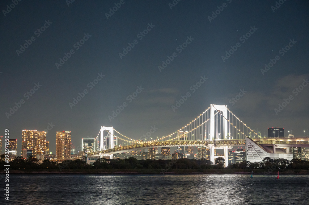 Fototapeta premium お台場から見たレインボーブリッジ