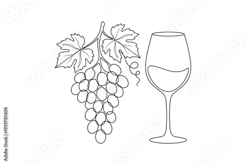 Vector illustration of wine glass and grape bunch