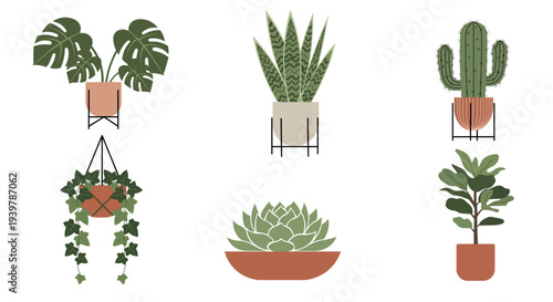 potted houseplants in a minimalist, flat design style