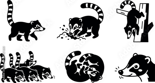 Minimalist icon set showing six ring tailed coati silhouettes walking digging climbing curled group and close up head in bold vector style