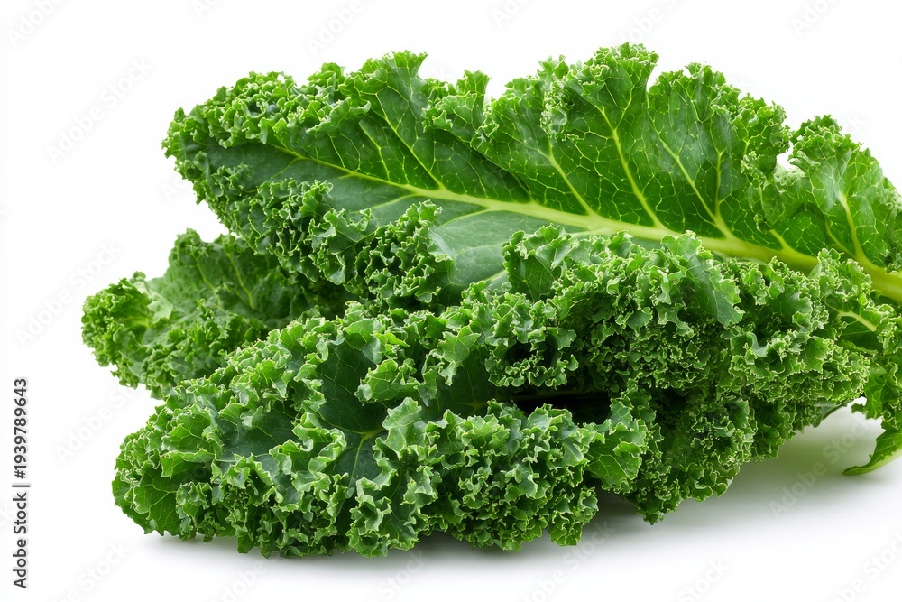 Obraz premium Raw kale with leaves intact for healthy diet
