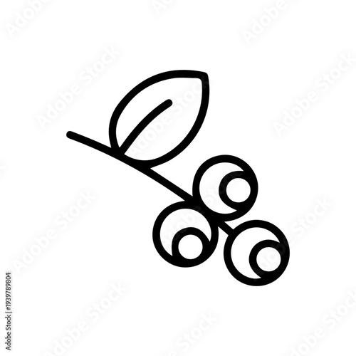 Branch with berries icon