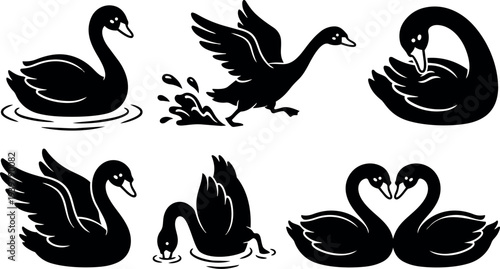 Flat design black swan silhouettes set showing six elegant poses including heart pair, preening, swimming, landing, feeding, and folded wings