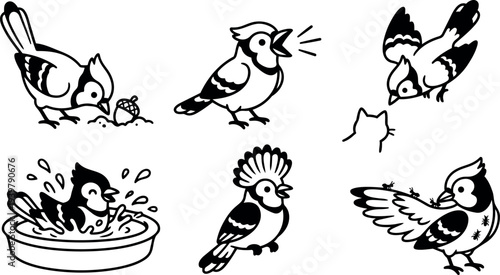 Line art vector set of playful songbirds pecking acorn, singing, diving, bathing, displaying crest and preening with ticks silhouette