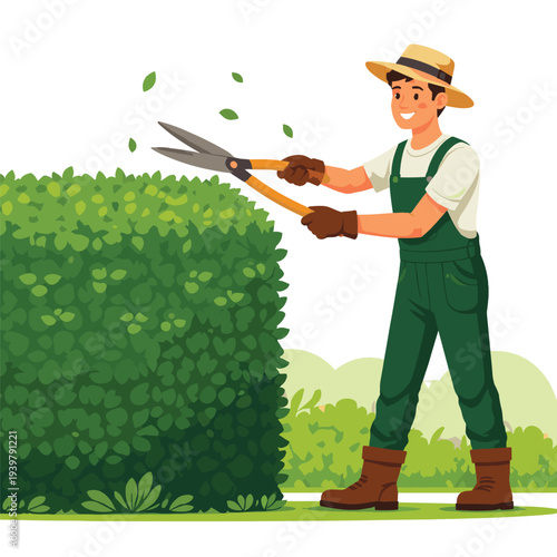 Gardener trimming bushes with shears outdoors
