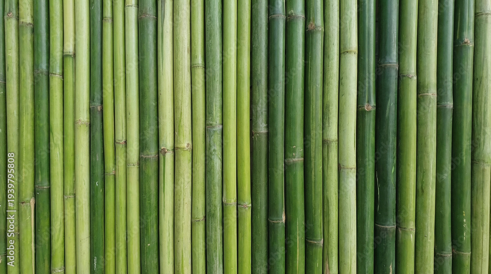 Fototapeta premium Natural bamboo texture background with tight vertical stalks and fresh green tones, sustainable organic surface perfect for eco brand Asian-inspired company or natural product design