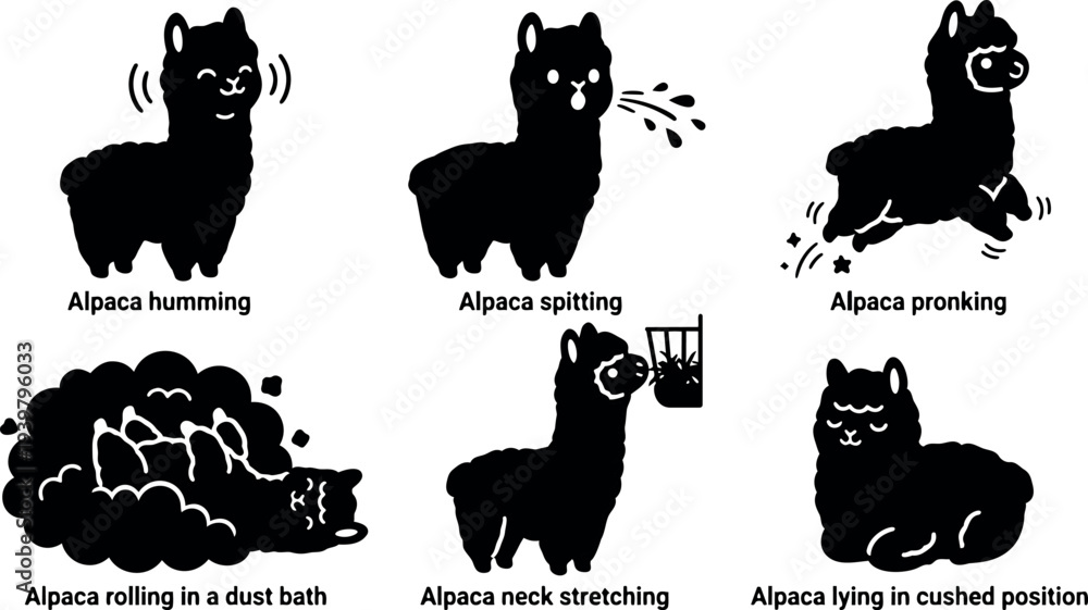 Fototapeta premium Flat silhouette vector set of six alpaca poses showing humming spitting pronking dust bath neck stretching and resting cute side view