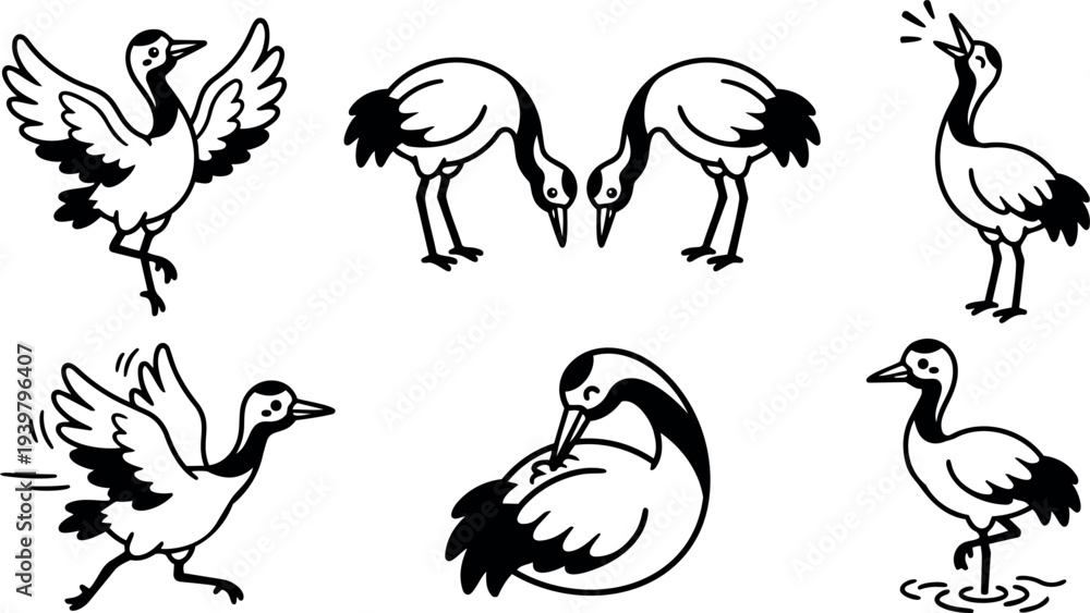 Fototapeta premium Line art close up set of six graceful crane bird poses dancing preening calling and wading in simple black white vector