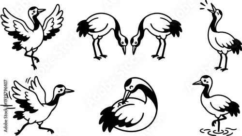 Line art close up set of six graceful crane bird poses dancing preening calling and wading in simple black white vector