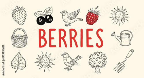 Colorful illustration of various berries.