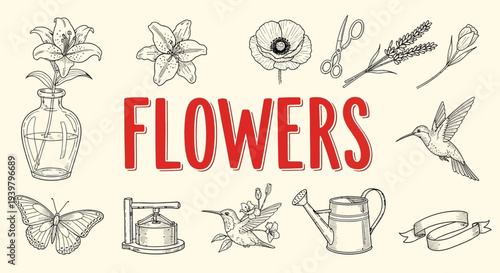 Colorful flowers and gardening tools illustration.