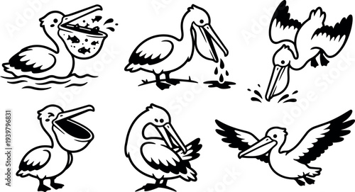 Line art pelican icon set showing six playful black and white poses including fishing, flying, preening, diving, close up, and standing
