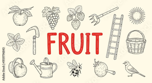 Fresh Fruit and Gardening Tools Illustration.
