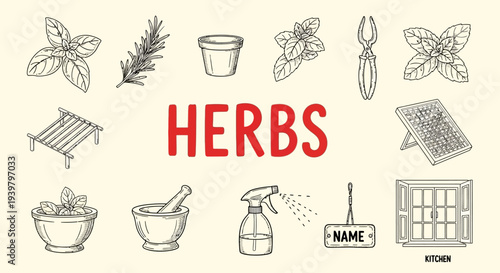 Herbs and gardening tools illustration.