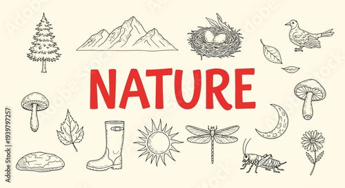 Nature icons and symbols collage.