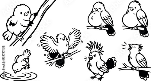 Line art vector set of seven cute songbirds in playful poses on branches drinking singing flapping wings close up illustrations whimsical