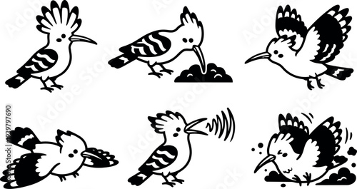 Flat design hoopoe bird icon set with six poses feeding flying calling landing close up playful silhouette in black and white