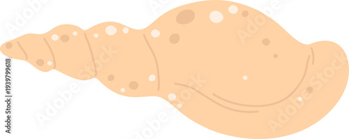 Seashell Coquette Cartoon