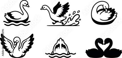 Minimal line art flat vector swan icon set with six black silhouettes showing swimming, taking off, preening and heart shaped pair