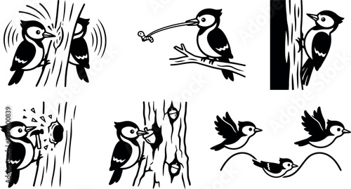Vector icon set of woodpecker poses close up and side profiles pecking, feeding, nesting on tree trunks in bold black silhouette
