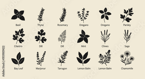 Assorted Herb Silhouettes Illustration