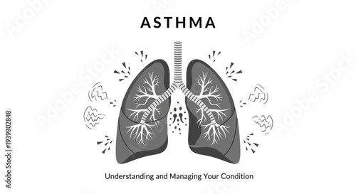 Human lungs anatomy illustration showing asthma symptoms and bronchial inflammation.