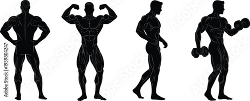 Vector illustration of muscular male silhouettes in bodybuilding poses with dumbbells, symbolizing fitness, strength, workout, discipline, sport, lifestyle, energy, and creative design concepts.