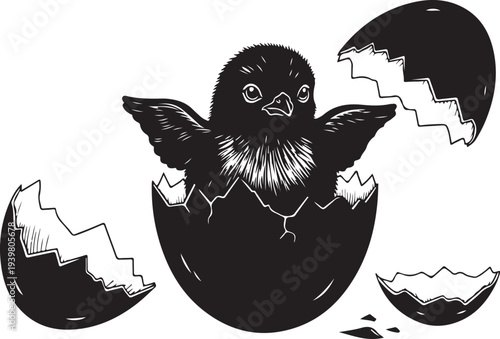 Newborn chick hatching from cracked eggshell illustration