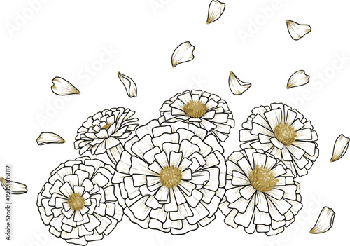 Marigolds With Falling Petals PNG Image
