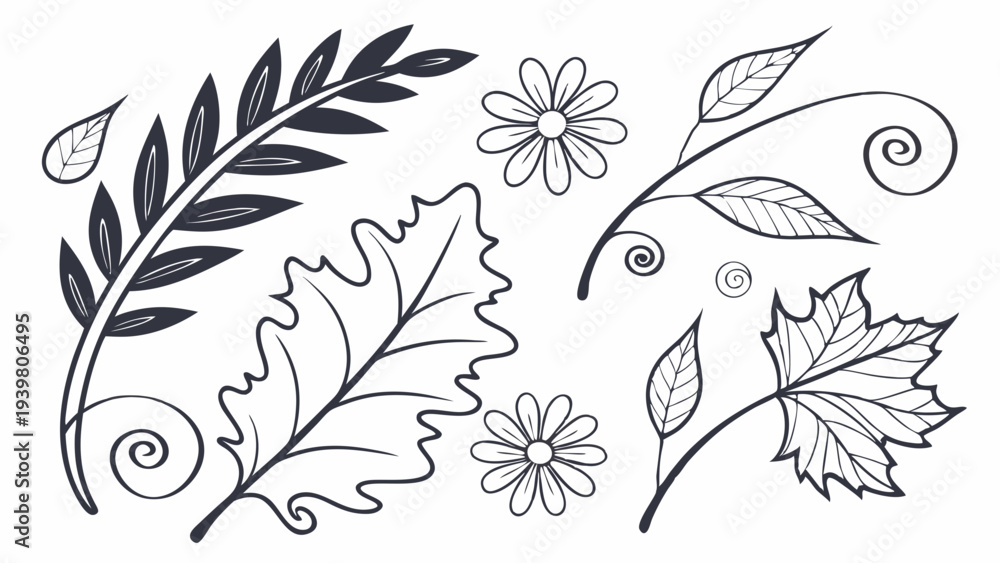 Fototapeta premium Hand Drawn Botanical Elements Outline Set for Rustic Wedding Invitations Nature Decor Logo Design Projects