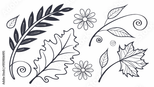 Hand Drawn Botanical Elements Outline Set for Rustic Wedding Invitations Nature Decor Logo Design Projects