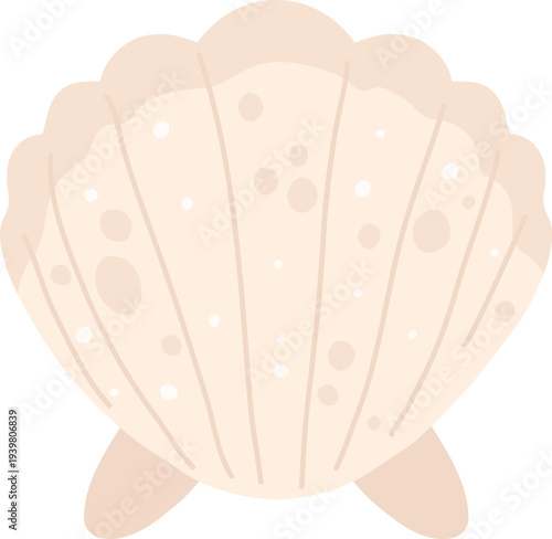 Seashell Coquette Cartoon