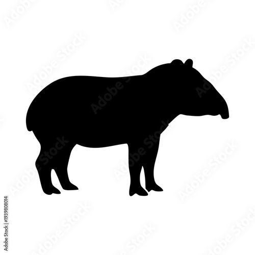 Tapir silhouette vector illustration