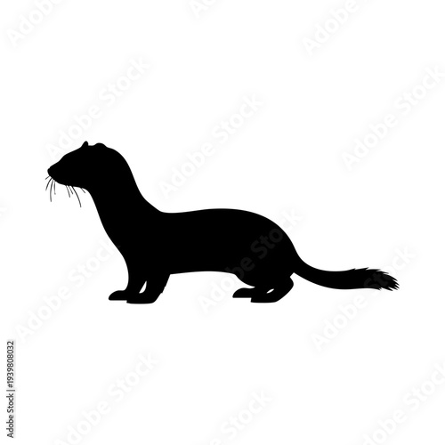 Weasel silhouette vector illustration